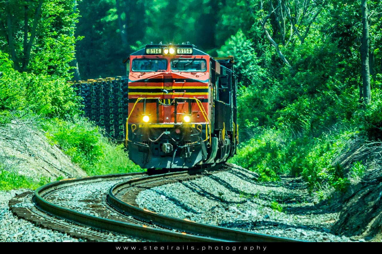 NS 8114 GE ES44AC